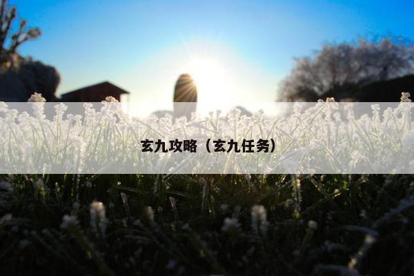 玄九攻略（玄九任务）