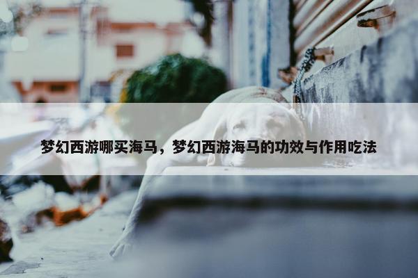 梦幻西游哪买海马，梦幻西游海马的功效与作用吃法