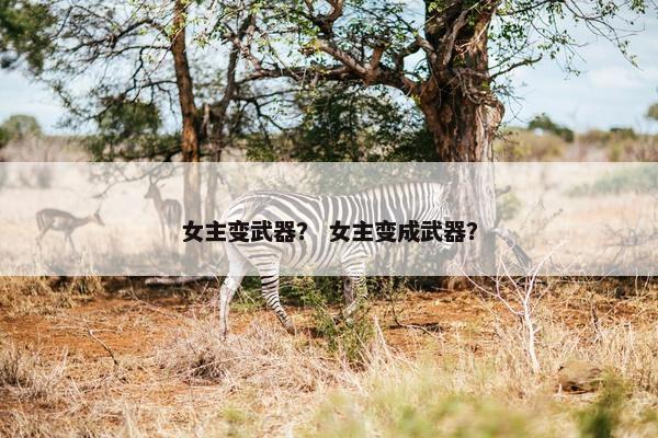 女主变武器？ 女主变成武器？