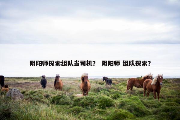 阴阳师探索组队当司机？ 阴阳师 组队探索？