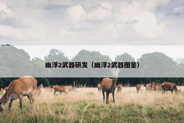 幽浮2武器研发（幽浮2武器图鉴）