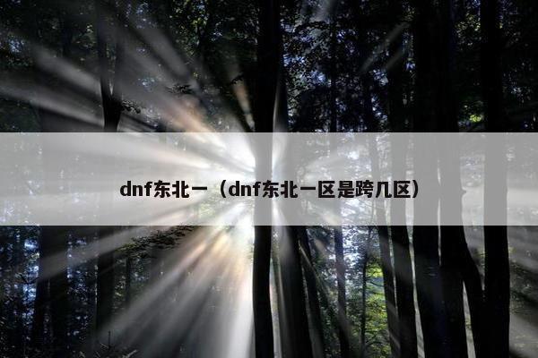 dnf东北一（dnf东北一区是跨几区）