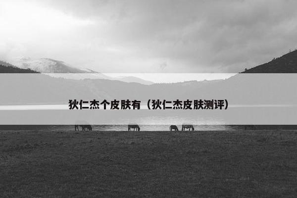 狄仁杰个皮肤有（狄仁杰皮肤测评）