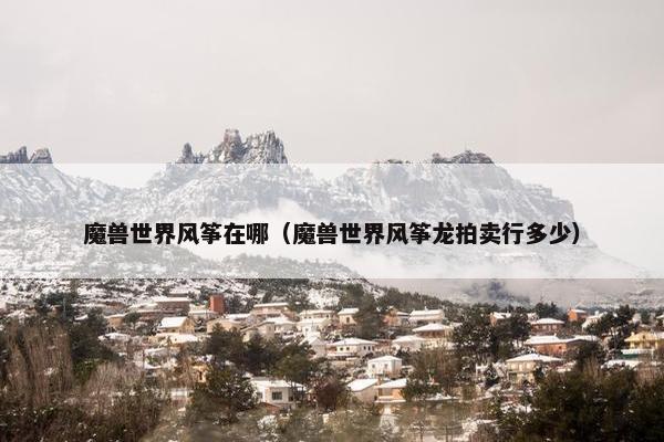 魔兽世界风筝在哪（魔兽世界风筝龙拍卖行多少）