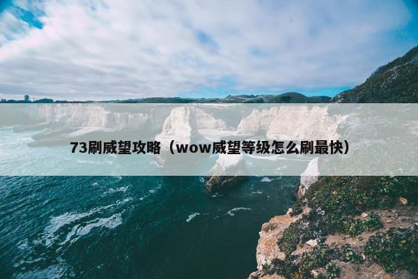 73刷威望攻略（wow威望等级怎么刷最快）