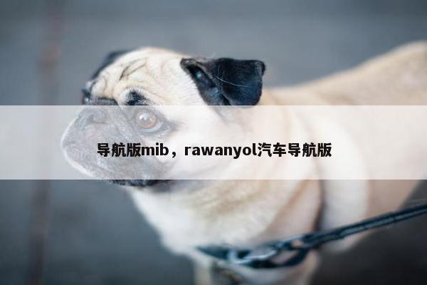 导航版mib，rawanyol汽车导航版