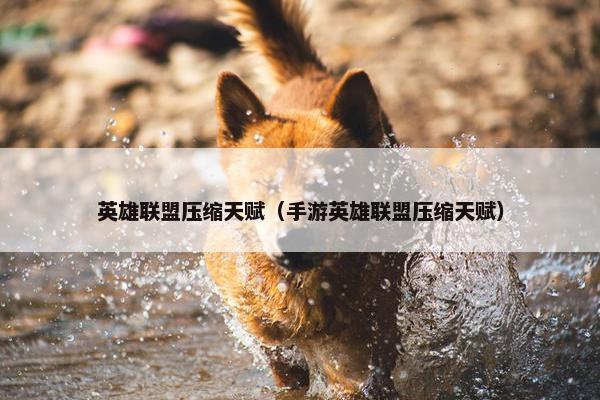 英雄联盟压缩天赋（手游英雄联盟压缩天赋）