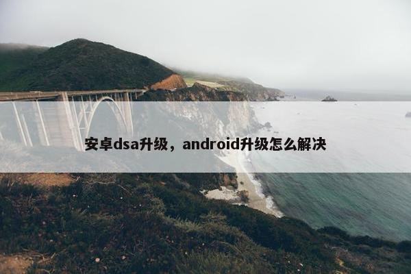 安卓dsa升级，android升级怎么解决