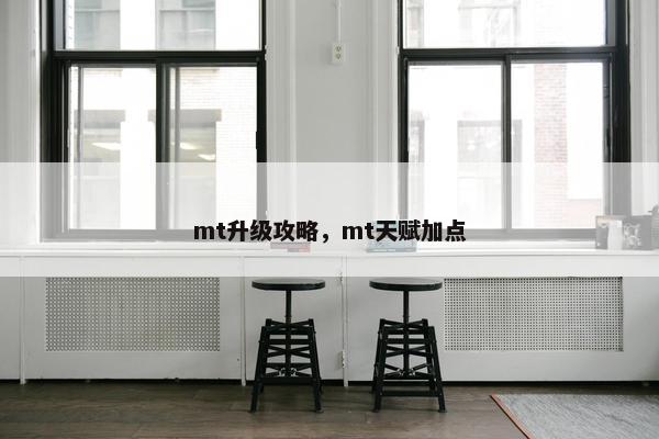 mt升级攻略，mt天赋加点