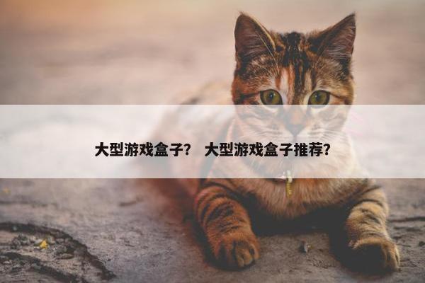 大型游戏盒子？ 大型游戏盒子推荐？