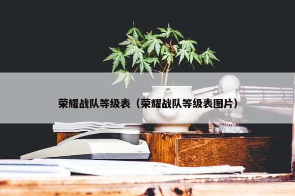 荣耀战队等级表（荣耀战队等级表图片）