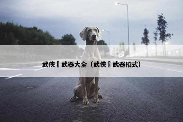 武侠乂武器大全（武侠乂武器招式）