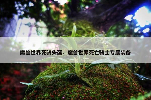 魔兽世界死骑头盔，魔兽世界死亡骑士专属装备
