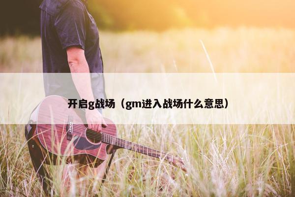 开启g战场（gm进入战场什么意思）