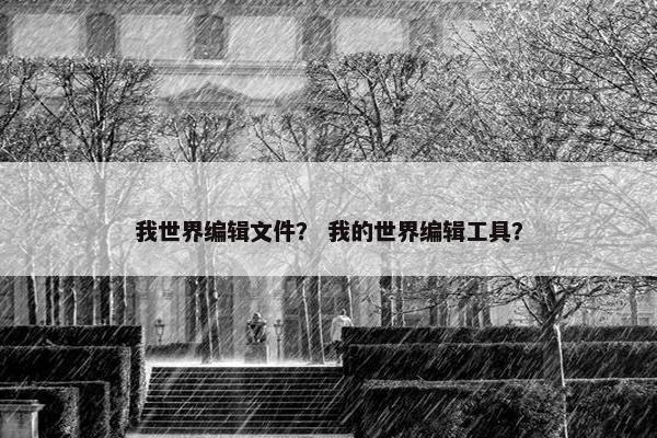 我世界编辑文件？ 我的世界编辑工具？