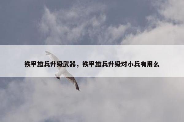 铁甲雄兵升级武器，铁甲雄兵升级对小兵有用么