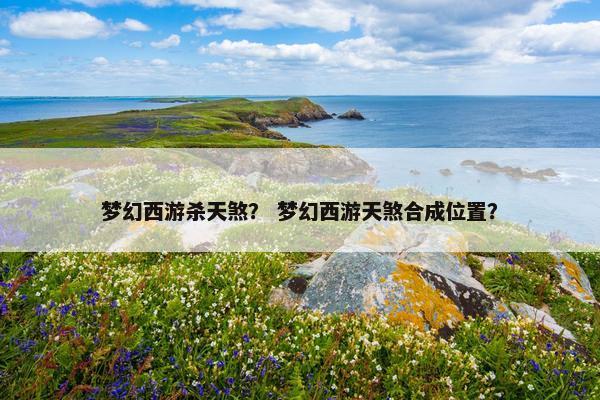 梦幻西游杀天煞？ 梦幻西游天煞合成位置？