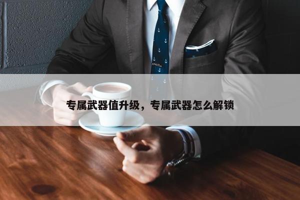 专属武器值升级，专属武器怎么解锁