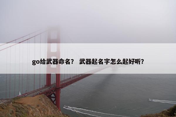 go给武器命名？ 武器起名字怎么起好听？