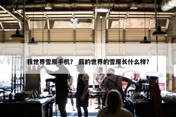 我世界雪原手机？ 我的世界的雪原长什么样？