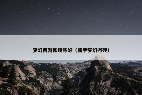 梦幻西游搬砖练好（新手梦幻搬砖）