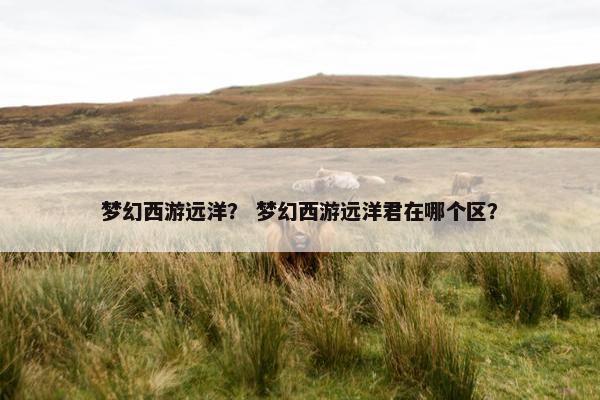 梦幻西游远洋？ 梦幻西游远洋君在哪个区？