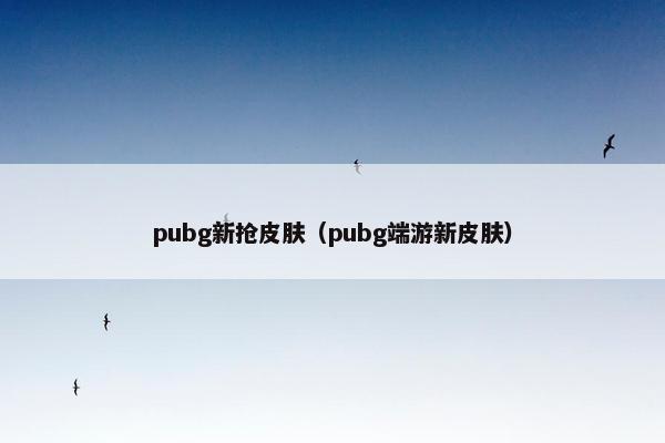 pubg新抢皮肤（pubg端游新皮肤）