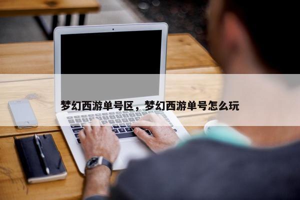 梦幻西游单号区，梦幻西游单号怎么玩