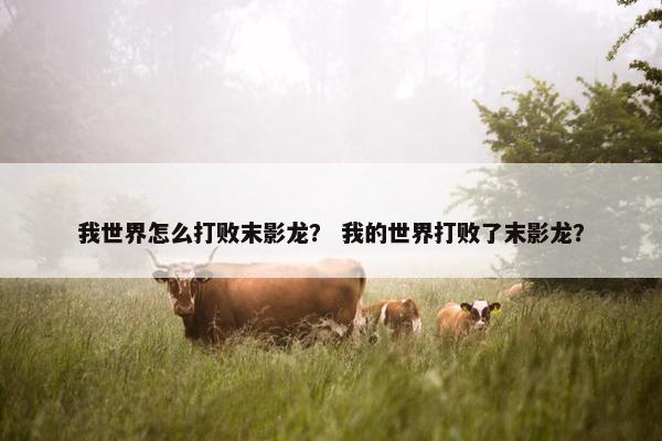 我世界怎么打败末影龙？ 我的世界打败了末影龙？
