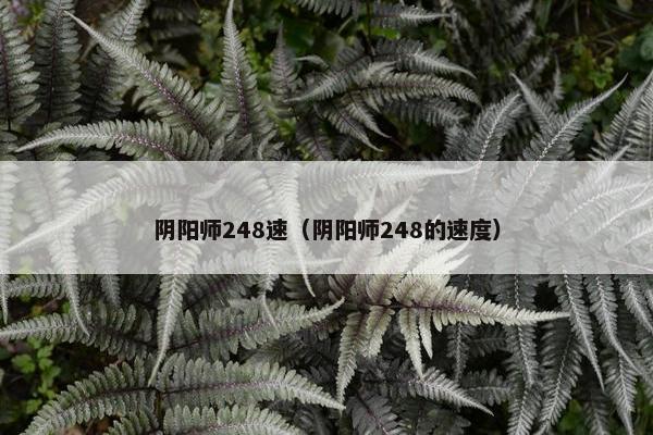 阴阳师248速（阴阳师248的速度）