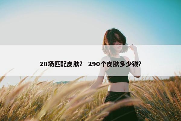 20场匹配皮肤？ 290个皮肤多少钱？