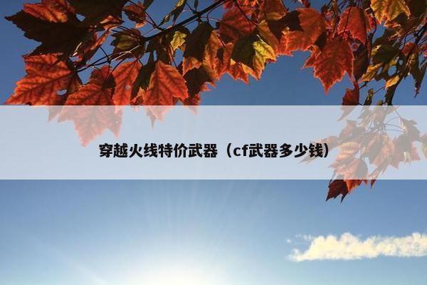 穿越火线特价武器（cf武器多少钱）