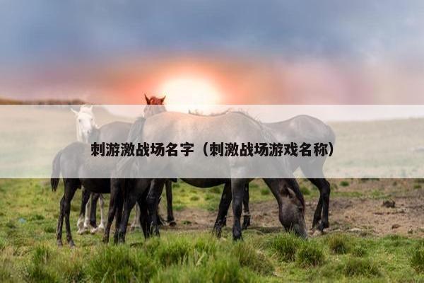 刺游激战场名字（刺激战场游戏名称）