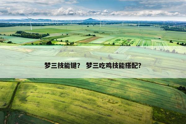梦三技能键？ 梦三吃鸡技能搭配？