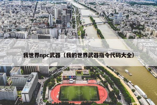 我世界npc武器（我的世界武器指令代码大全）