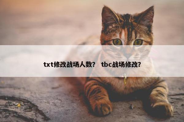 txt修改战场人数？ tbc战场修改？