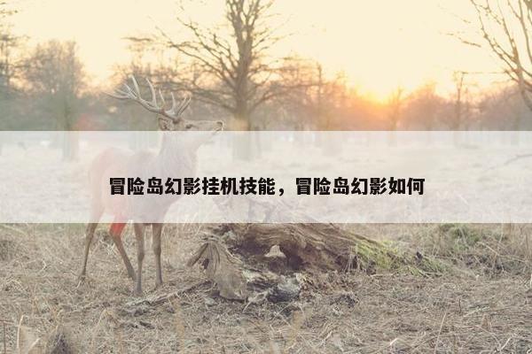 冒险岛幻影挂机技能，冒险岛幻影如何