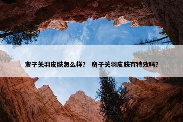 蛮子关羽皮肤怎么样？ 蛮子关羽皮肤有特效吗？