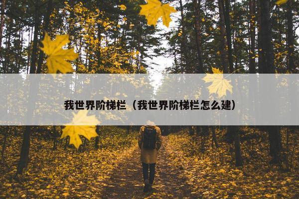 我世界阶梯栏（我世界阶梯栏怎么建）