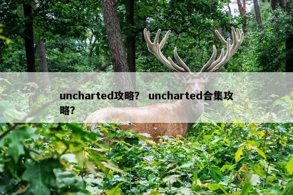 uncharted攻略？ uncharted合集攻略？