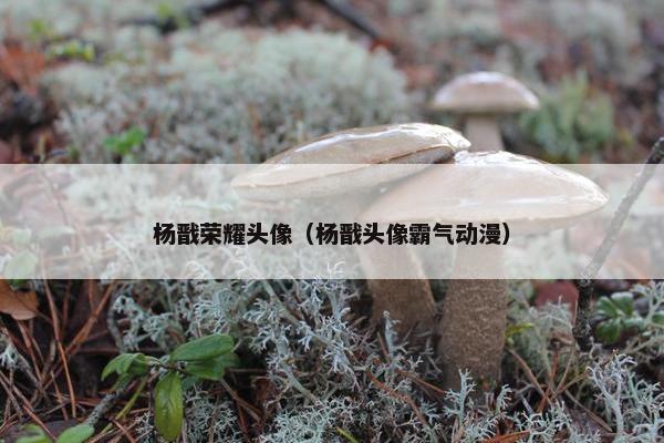 杨戬荣耀头像（杨戬头像霸气动漫）