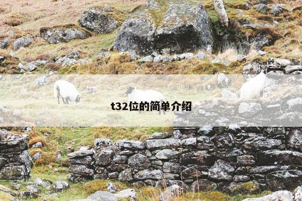 t32位的简单介绍