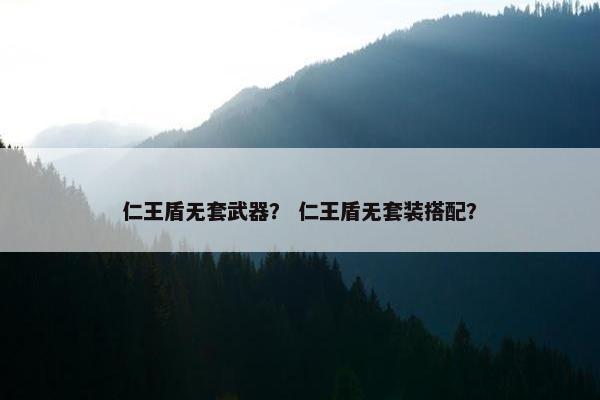 仁王盾无套武器？ 仁王盾无套装搭配？