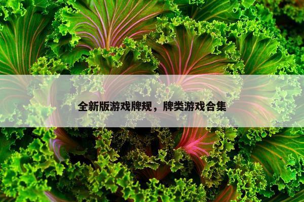 全新版游戏牌规，牌类游戏合集