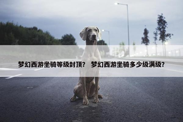梦幻西游坐骑等级封顶？ 梦幻西游坐骑多少级满级？