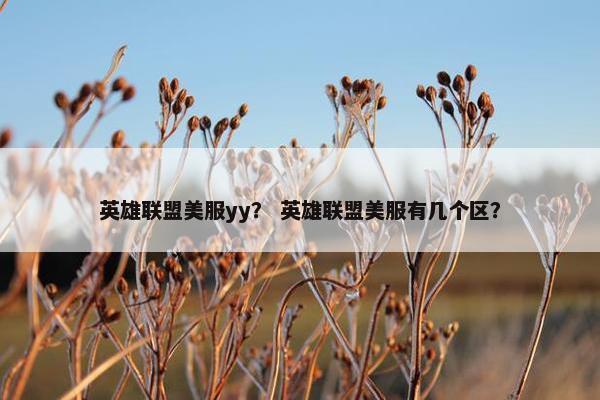 英雄联盟美服yy？ 英雄联盟美服有几个区？