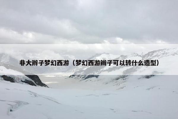 非大辫子梦幻西游（梦幻西游辫子可以转什么造型）