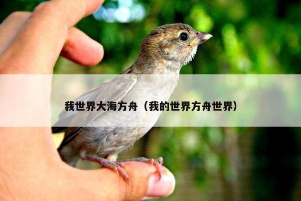 我世界大海方舟（我的世界方舟世界）