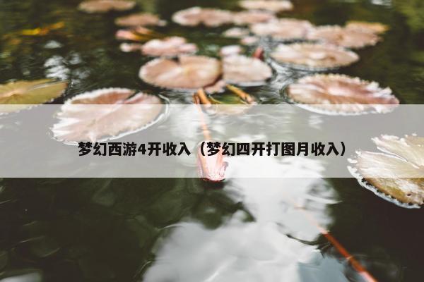 梦幻西游4开收入（梦幻四开打图月收入）