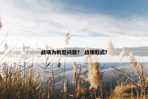 战场为机型问题？ 战场形式？